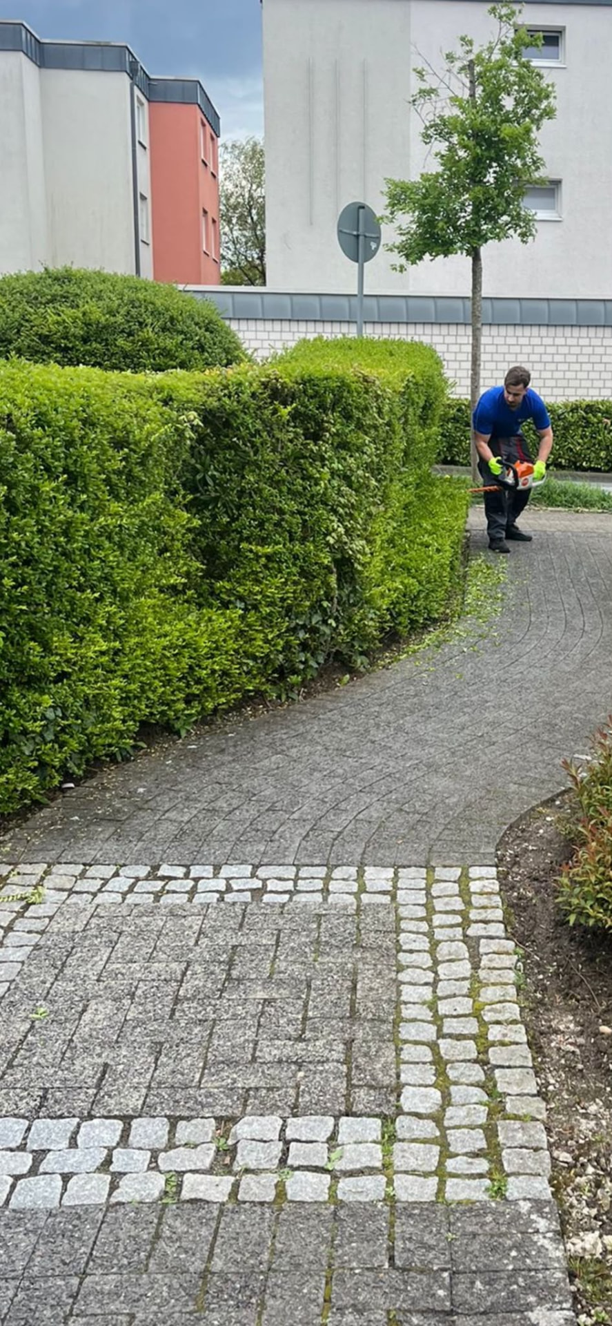 Mitarbeiter beim präzisen Heckenschnitt an einer Wohnanlage